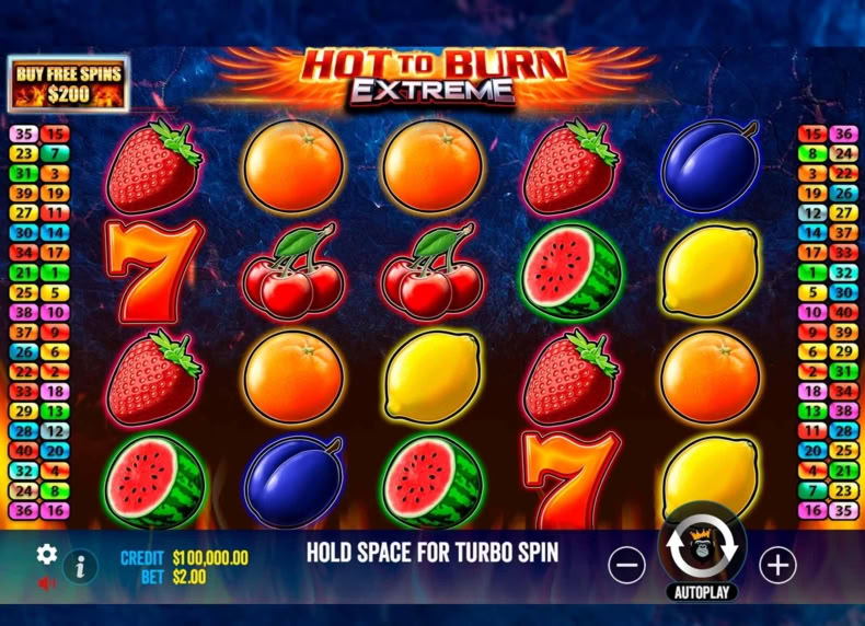 Hot to Burn Extreme game - play for free