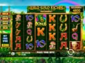 Wild Wild Riches Megaways™