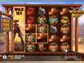 Wild West Duels™