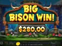 Release the Bison