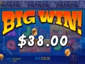Big Bass Bonanza – Reel Action