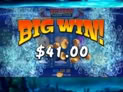 Big Bass Mission Fishin’