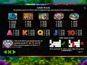 Congo Cash XL