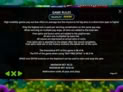 Congo Cash XL