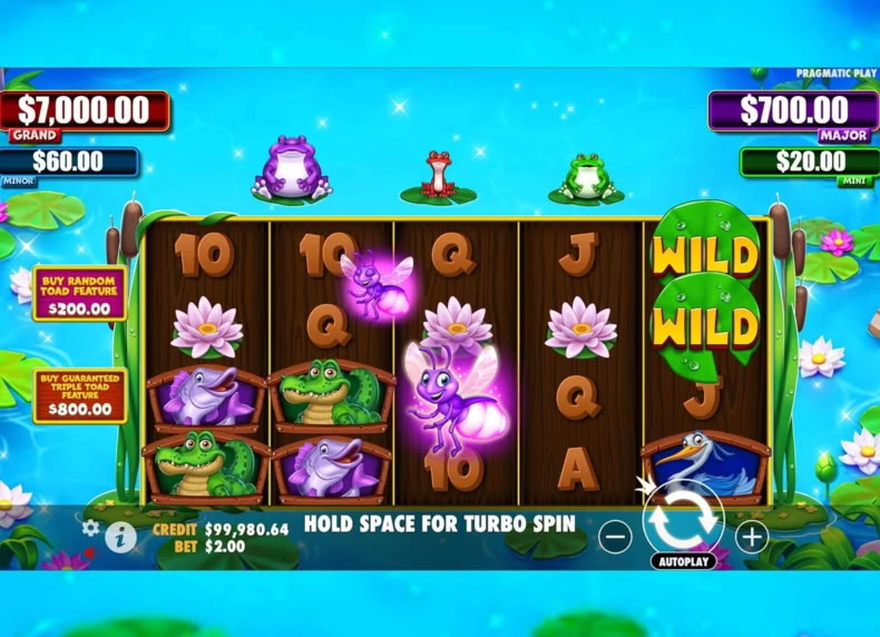 Tiny Toads game - play for free