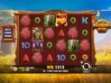 Wild Wildebeest Wins