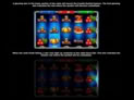 Super 20 Stars