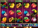 Flamingo Paradise