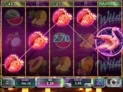 Flamingo Paradise