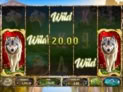 Wild Animals