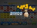 Mega Money!