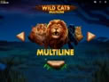 Wild Cats Multiline