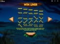 Wild Cats Multiline