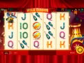 Wild Circus