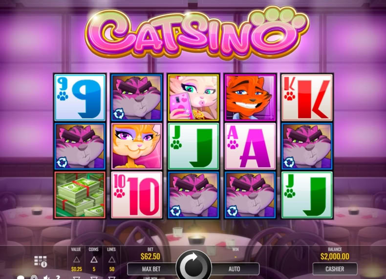 Catsino game - play for free