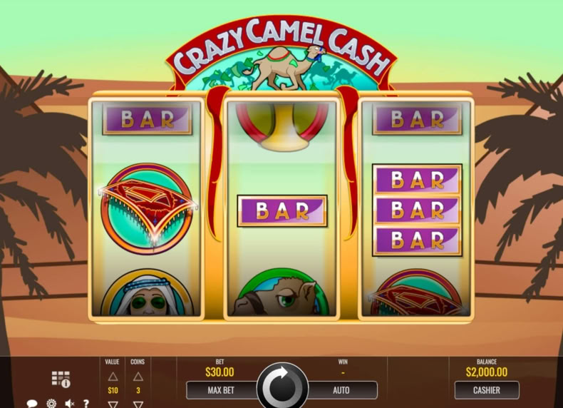 Crazy Camel Cash game - play for free