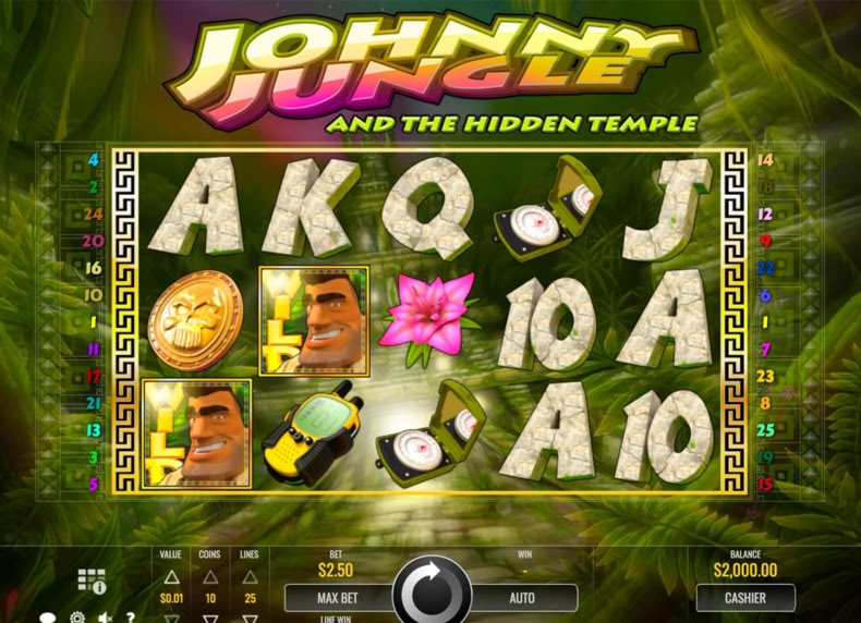 Johnny Jungle game - play for free