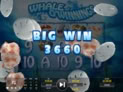 Whale O' Winnings