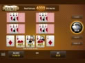 Deuces Wild Multi-Hand