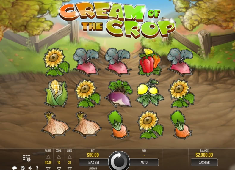 Cream of the Crop game - play for free