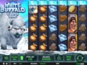 White Buffalo