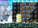 White Buffalo