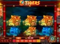 9 Tigers