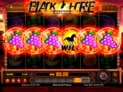 Black Horse™ Deluxe