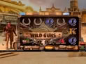 Wild Guns