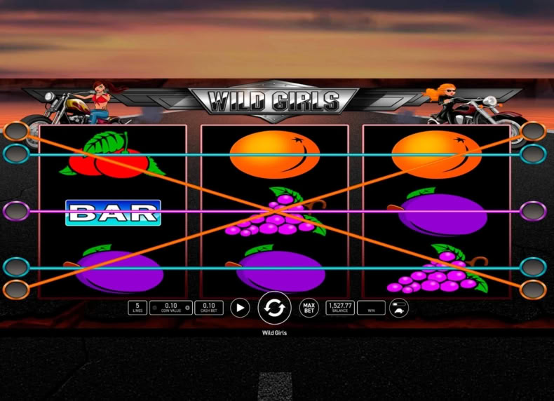 Wild Girls game - play for free