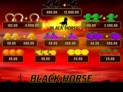 Black Horse™