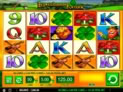 Leprechaun's Fortune