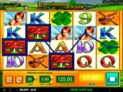 Leprechaun's Fortune