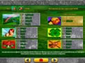 Leprechaun's Fortune