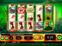 Wizard of Oz Ruby Slippers (DUAL)