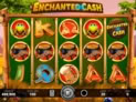 Enchanted Cash