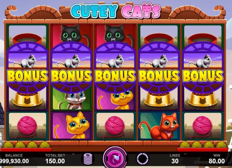 Cutey Cats game - play for free