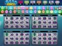 Boto Bingo