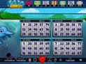 Boto Bingo