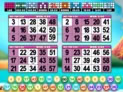 Bingo Billion Llama
