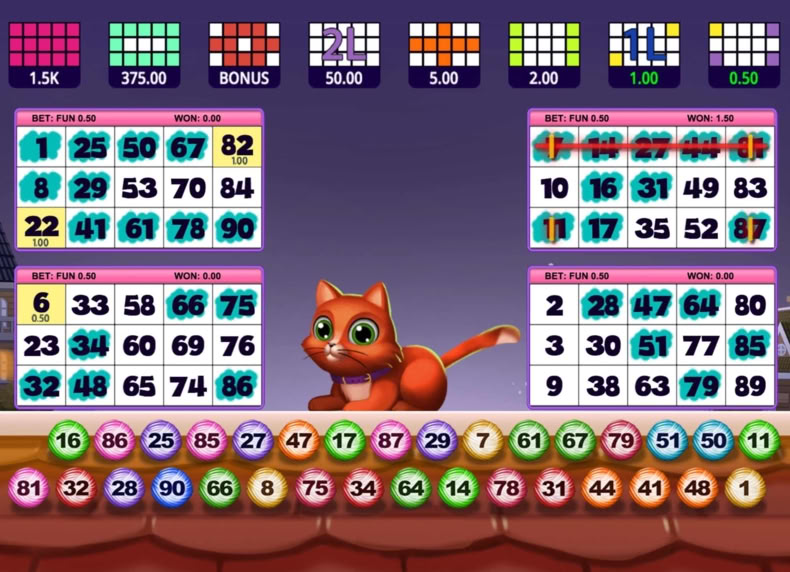 Bingo Gatinho game - play for free