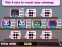 Bingo Gatinho