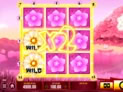 8 Flowers