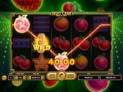 Fruit Cash Hold n' Link