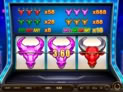 Super Niubi Deluxe