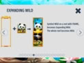 Panda Paradise