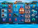 6 Wild Sharks