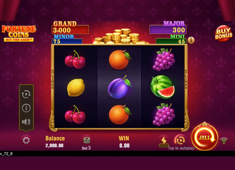 Fortune Coins game - play for free