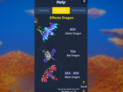 Dragon Fortune