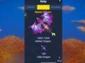 Dragon Fortune